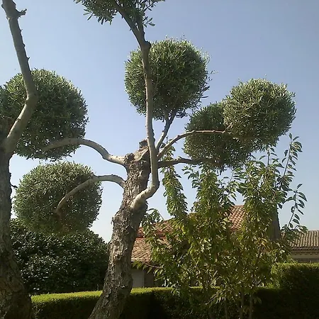 فندق مبيت وإفطار Etma