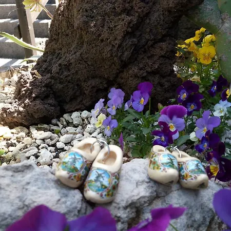 فندق مبيت وإفطار Etma SantʼAlfio