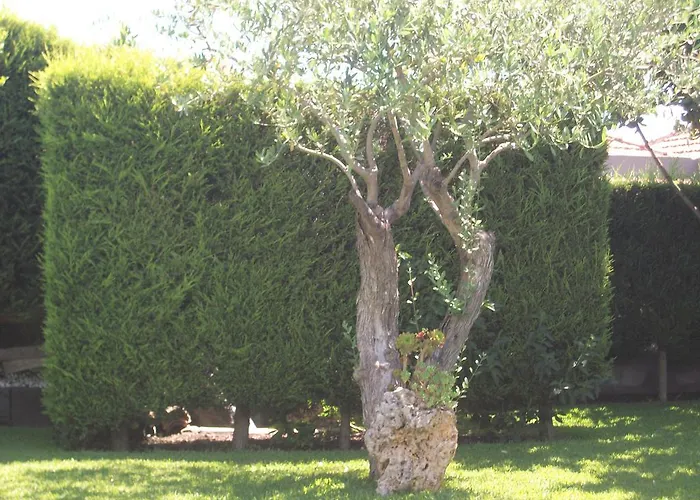 Bed & Breakfast Etma 3*