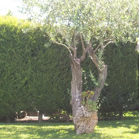 Bed & Breakfast Etma *